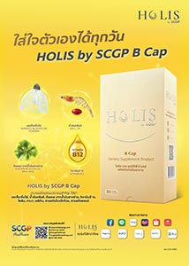 HOLIS by SCGP