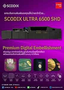 บริษัท ไซเบอร์ เอสเอ็ม(ไทย) จำกัด